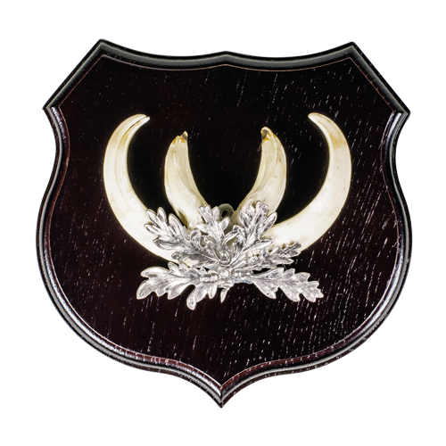 Fritzmann Planche Sanglier 20cm