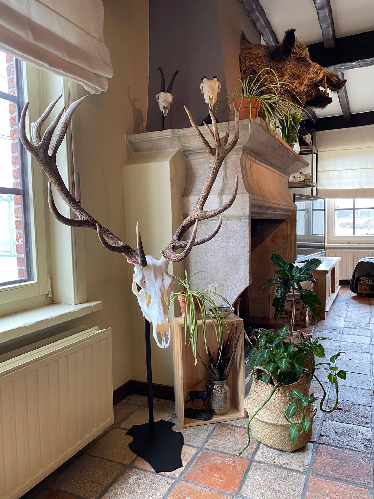 Cranium Design Support trophée Altum