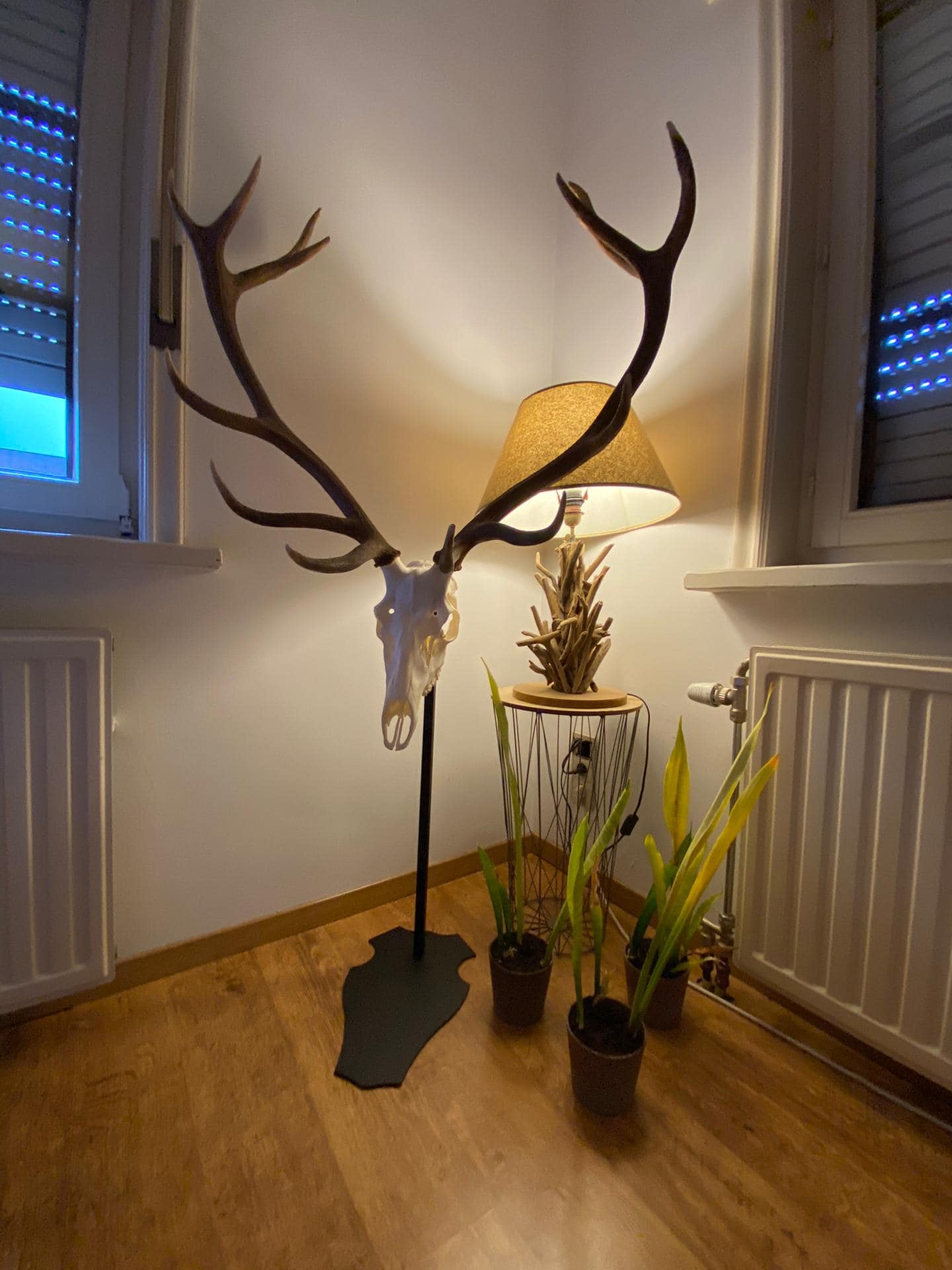 Cranium Design Support trophée Altum