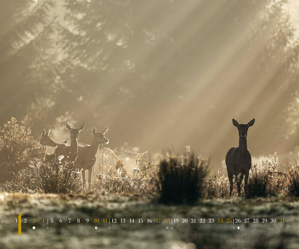 Calendrier 2026 Philippe ALLARD