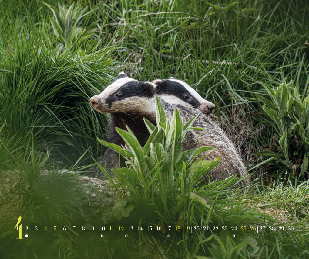 Calendrier 2026 Philippe ALLARD