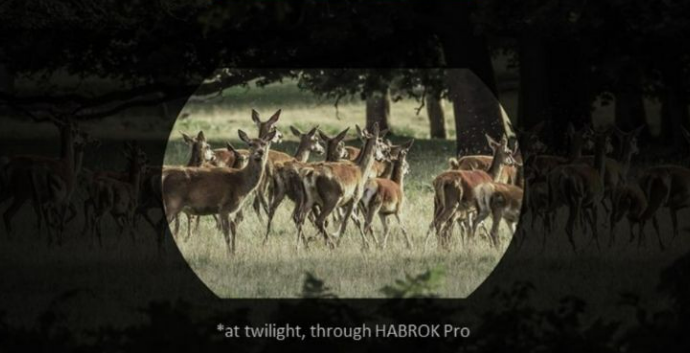Hikmicro Habrok Pro HX60 LN