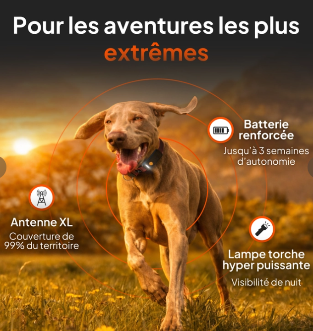 Weenect XT Traceur Gps pour chien