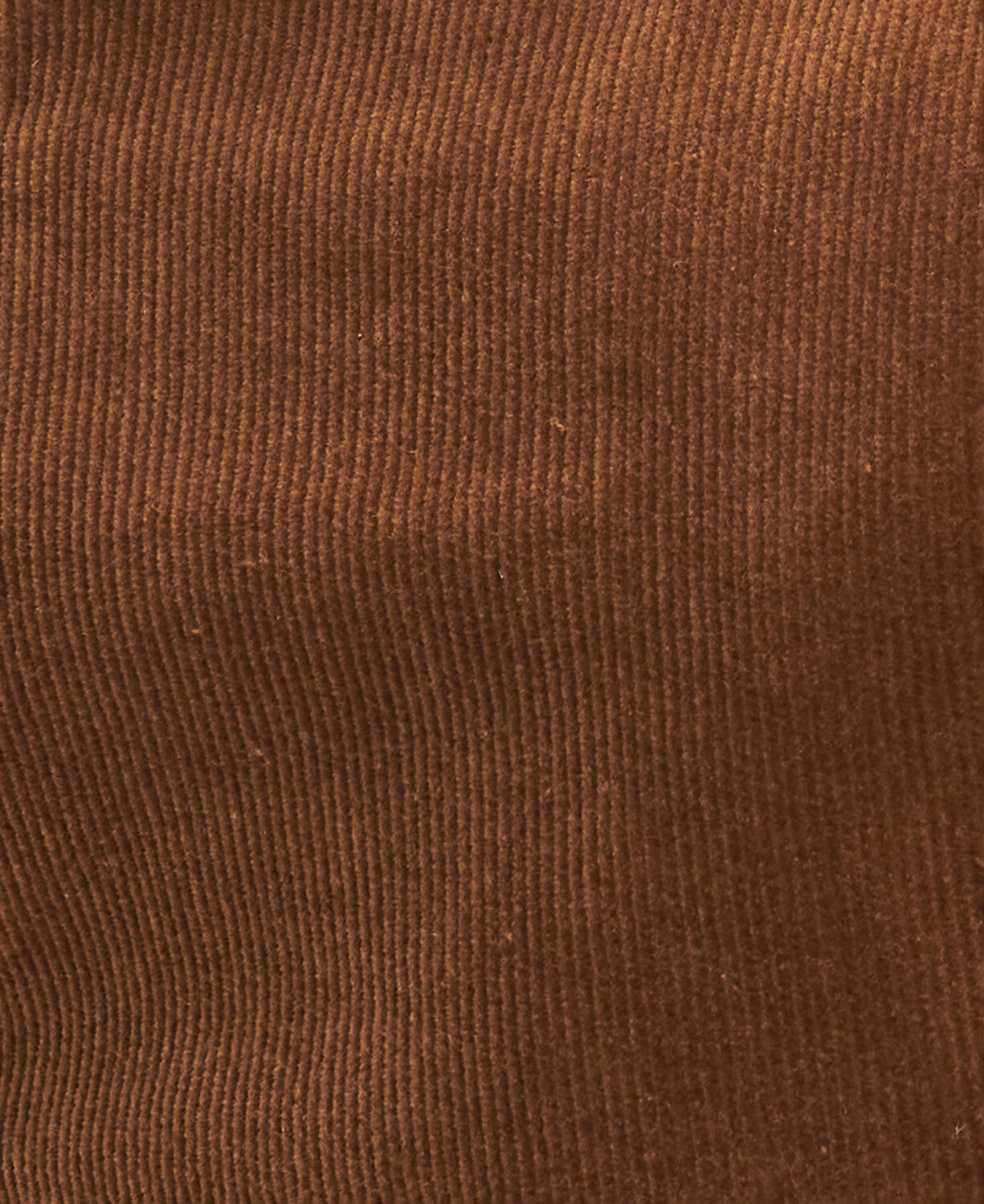 Barbour Pantalon velour