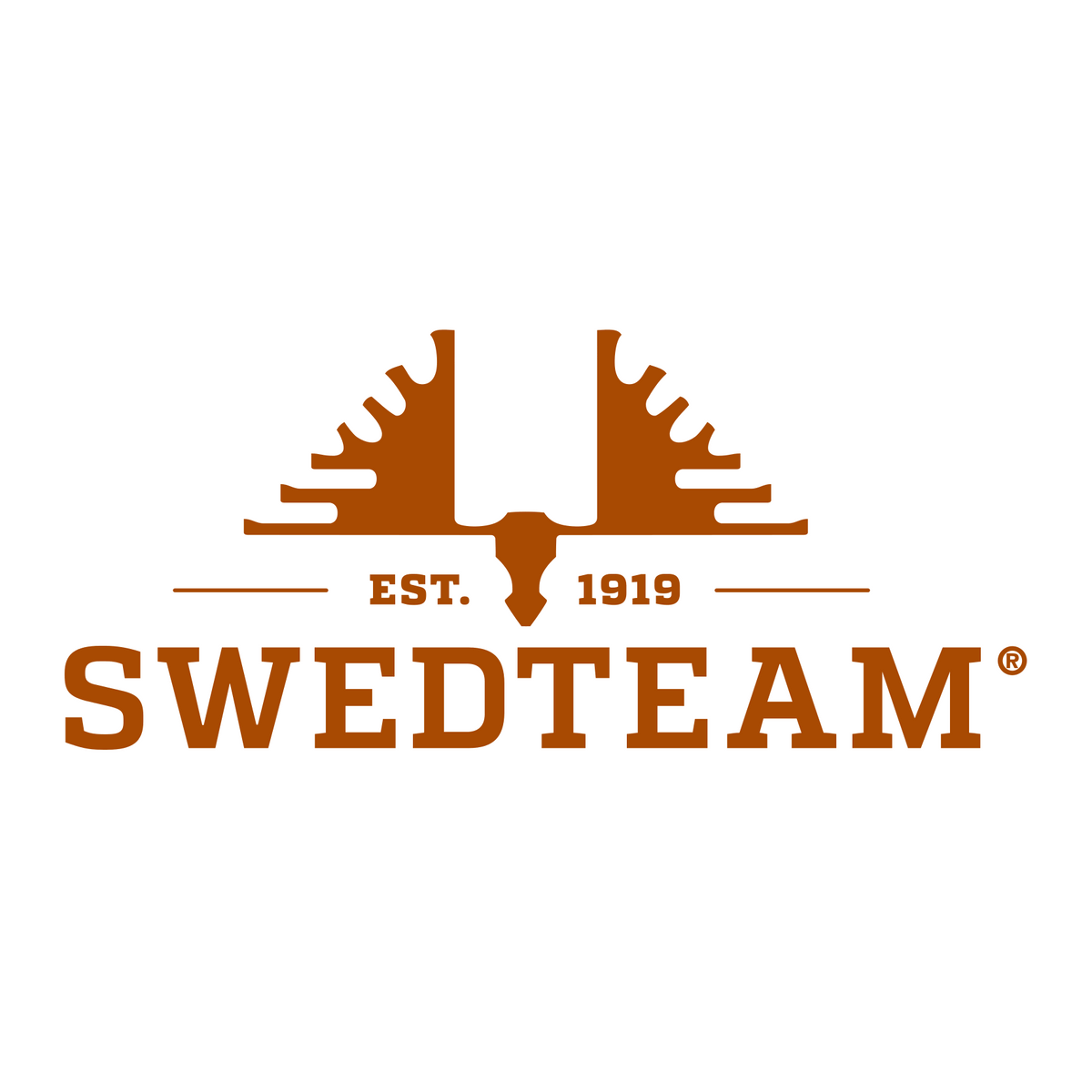 Swedteam
