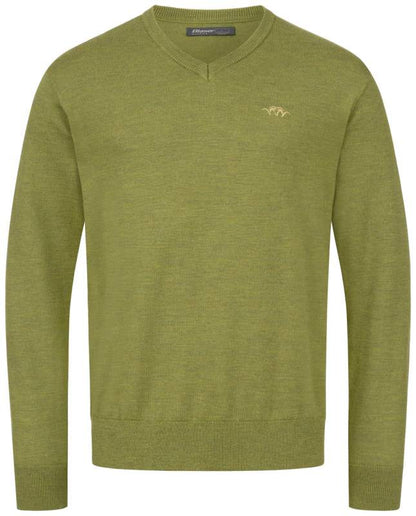 Blaser Pull Merino Col V