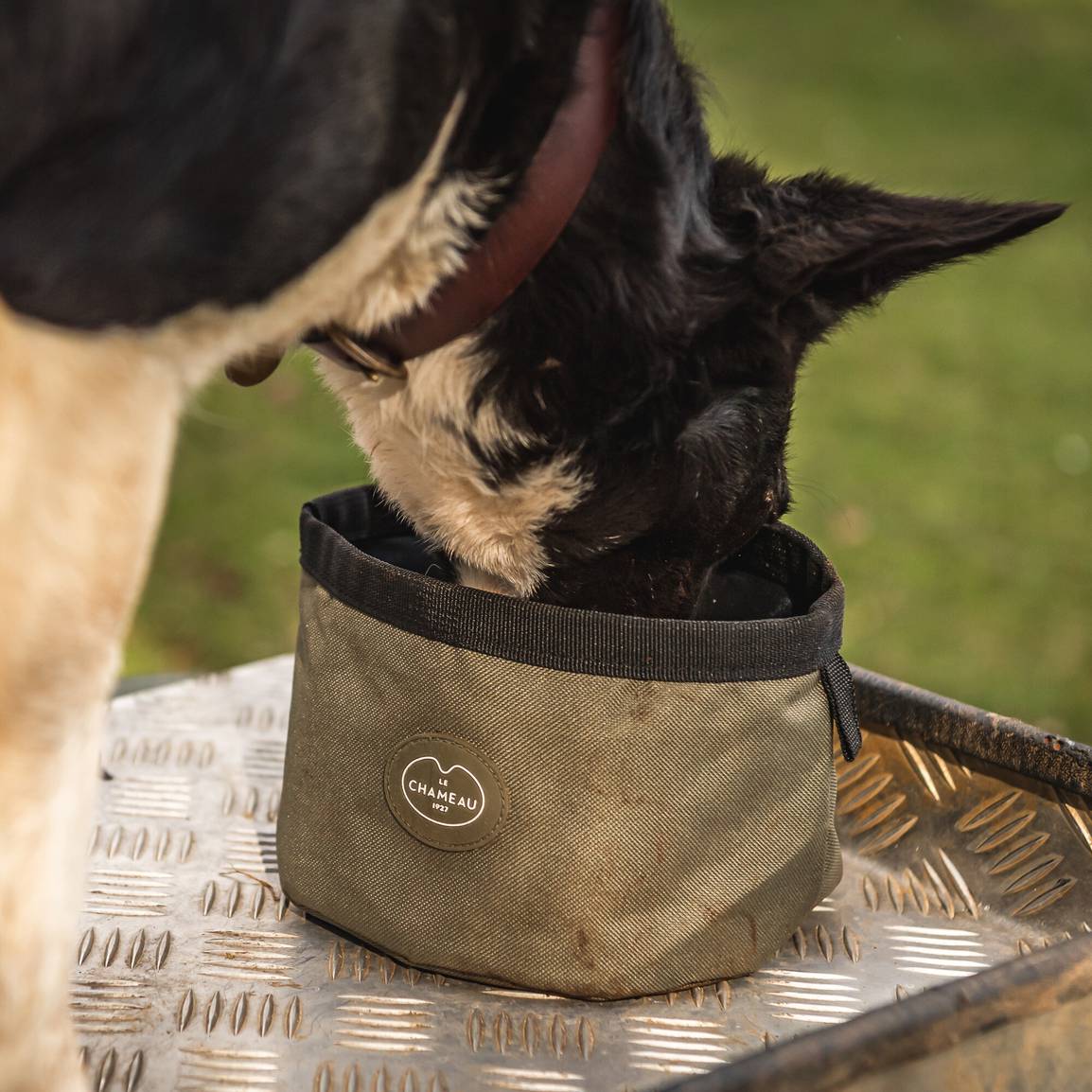 Le Chameau Gamelle portable chien