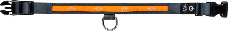 Blaser collier lumineux chien