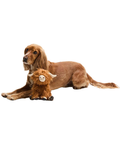 Barbour Jouet chien