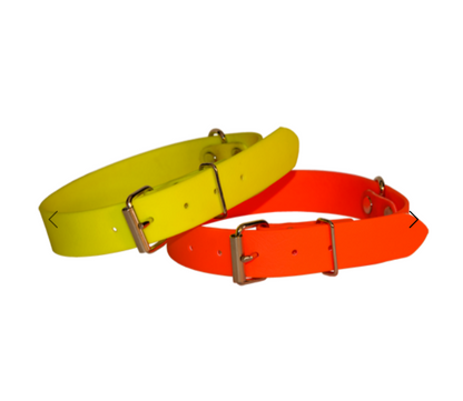 Fritzmann Collier Chien Biothane