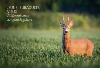 Livre: Bien déterminer l&