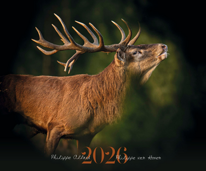 Calendrier 2026  Philippe ALLARD