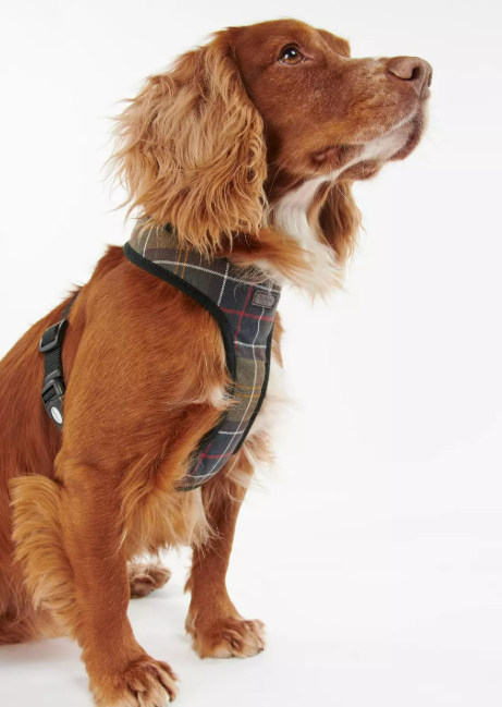 Barbour Harnais tartan