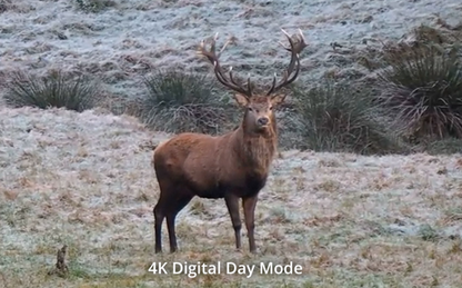 Hikmicro Habrok 4K HE25L 2.0