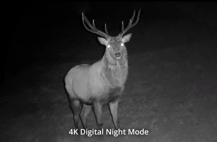 Hikmicro Habrok 4K HE25L 2.0