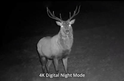 Hikmicro Habrok 4K HE25L 2.0