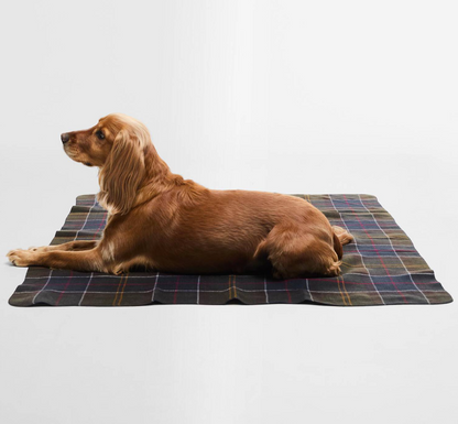 Barbour couverture tartan
