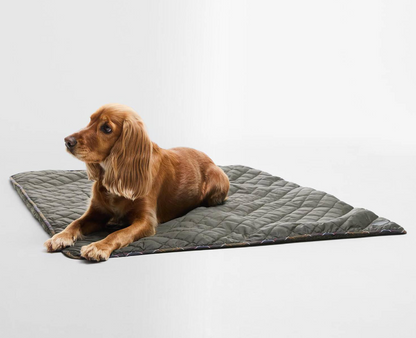 Barbour Couverture chien
