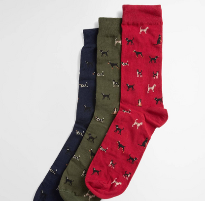 Barbour Chaussettes pack