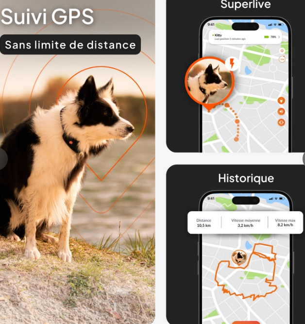 Weenect XT Traceur Gps pour chien