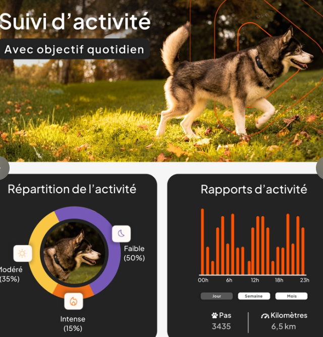 Weenect XT Traceur Gps pour chien