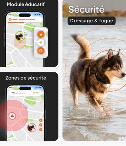 Weenect XT Traceur Gps pour chien