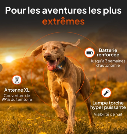 Weenect XT Traceur Gps pour chien